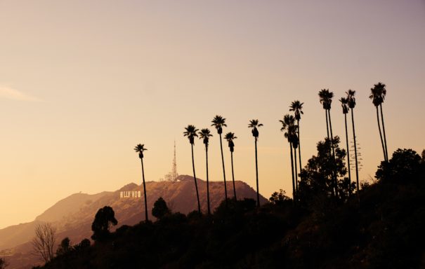 Mulholland drive with trees